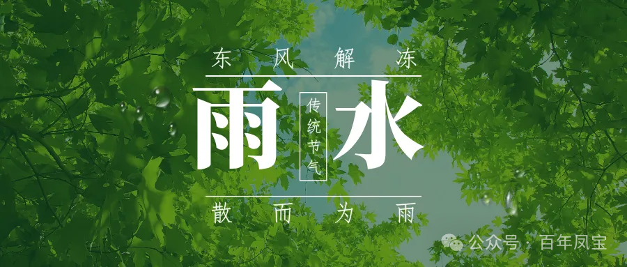 二十四节气|雨水