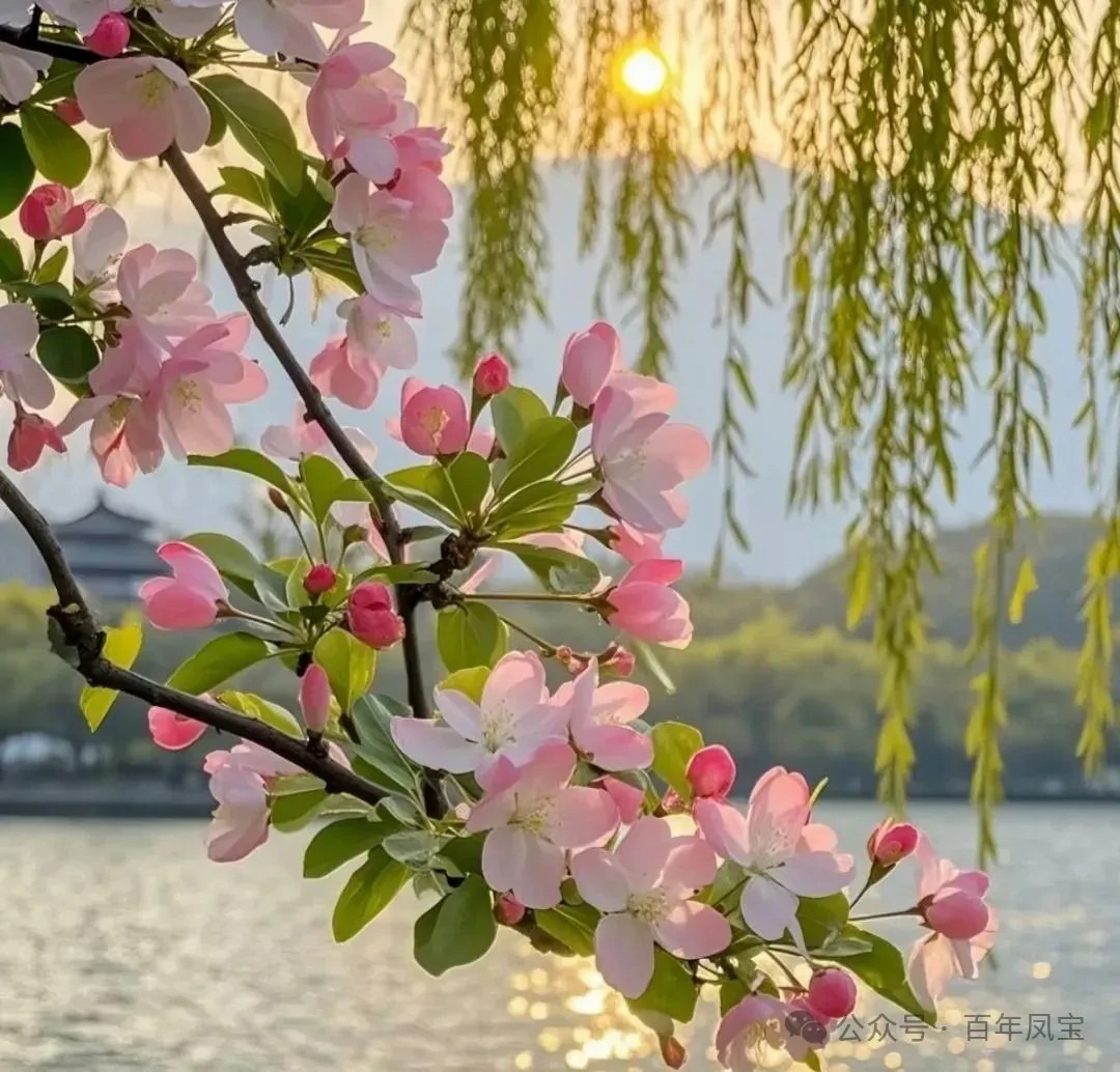 二十四节气|春分