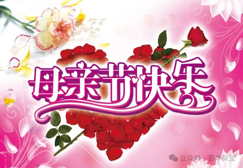 五月康乃馨,爱心献母亲|母亲节快乐