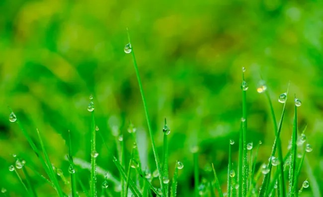 二十四节气｜小满